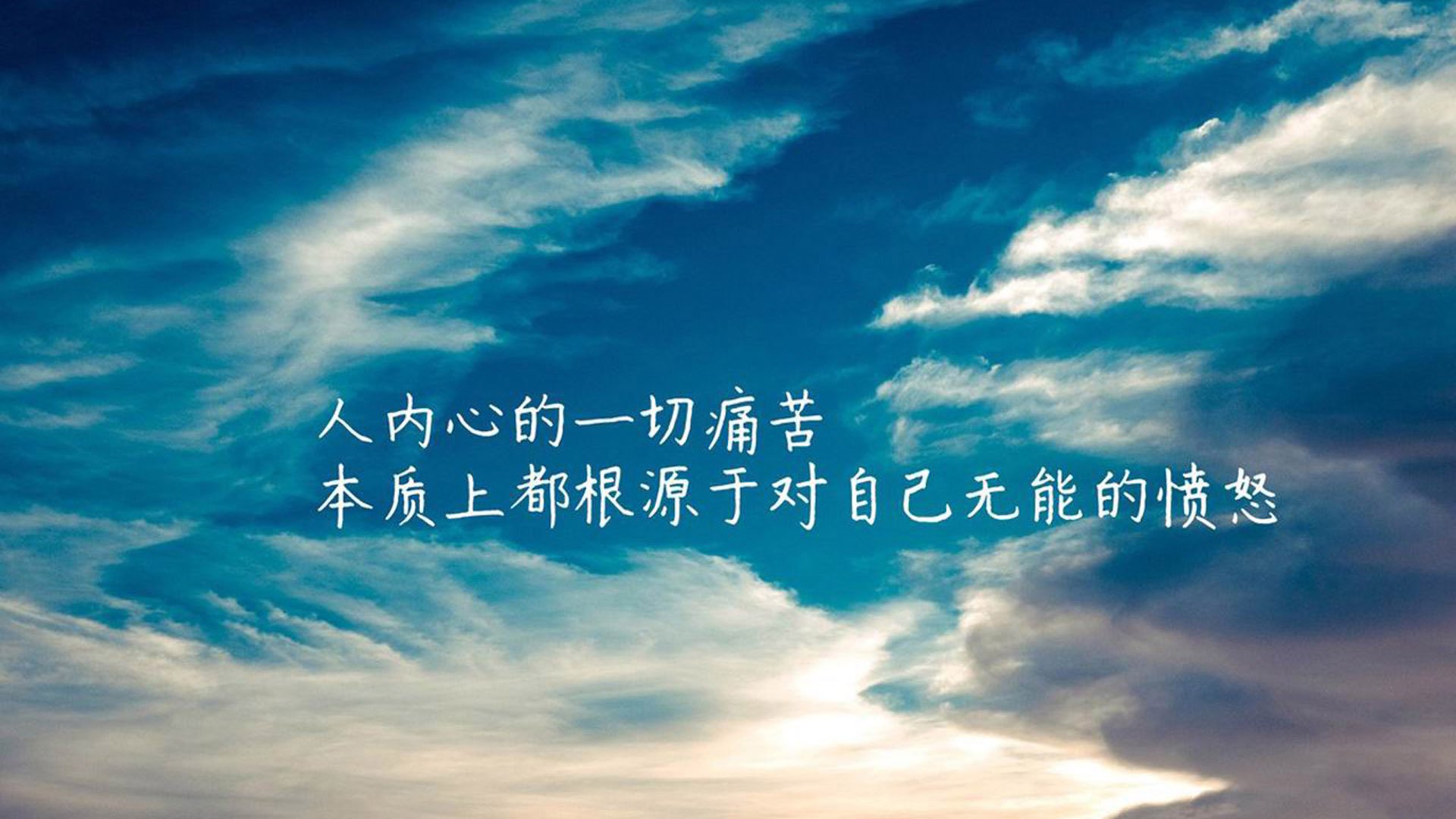 世界乒坛教练员导师制成果与学员反馈发布，乒乓球导师